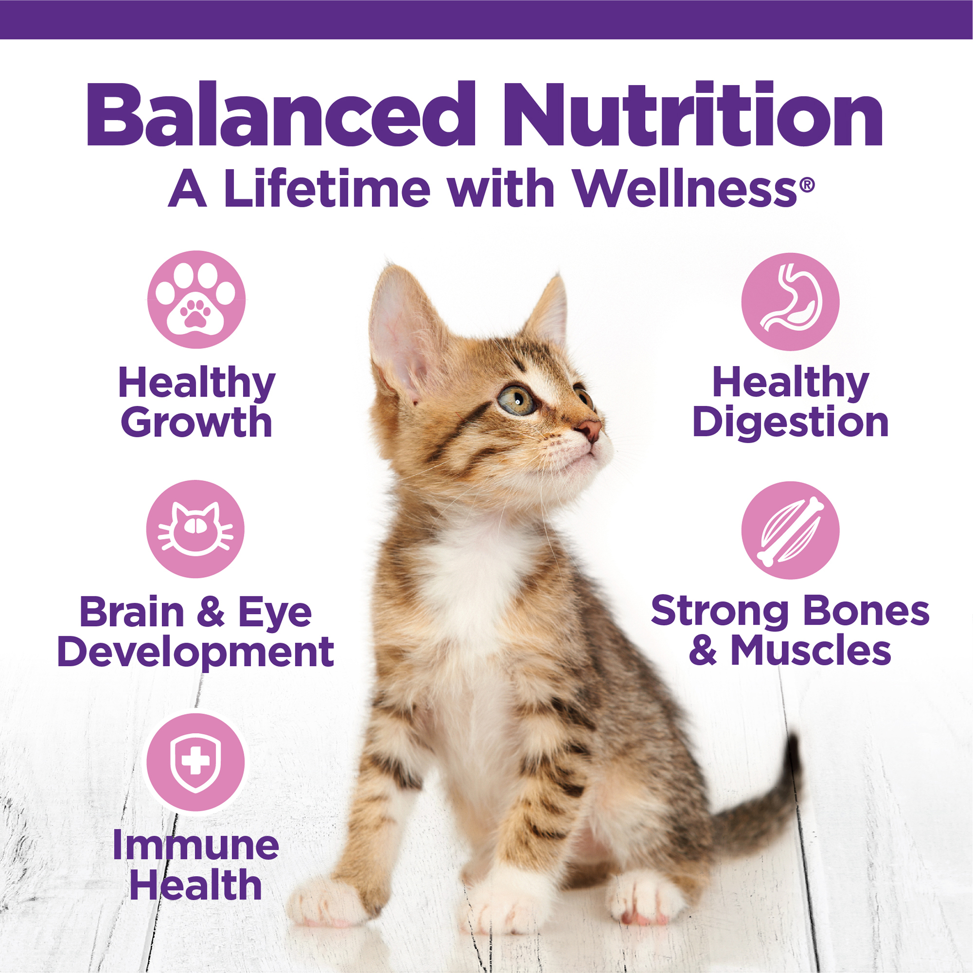 Wellness Complete Health Grained Kitten Deboned Chicken, Chicken Meal & Rice