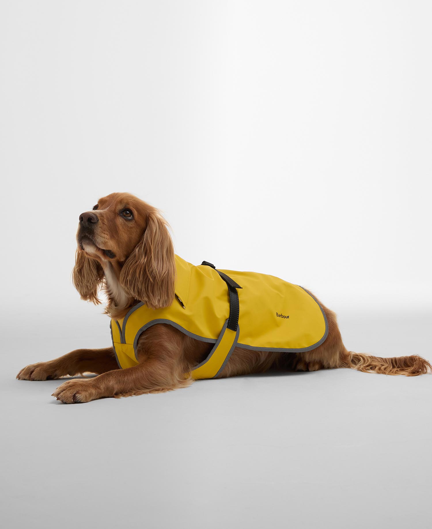 Evie Waterproof Dog Coat image number 0