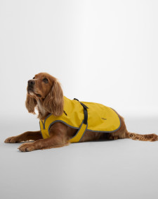 Evie Waterproof Dog Coat Limeade