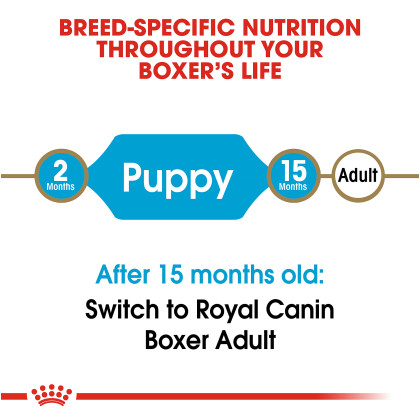 Boxer Puppy Dry Dog Food