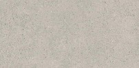 Everett Beige 24×48 Field Tile Matte Rectified