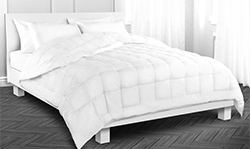 Shop Comforters at LiveComfortably