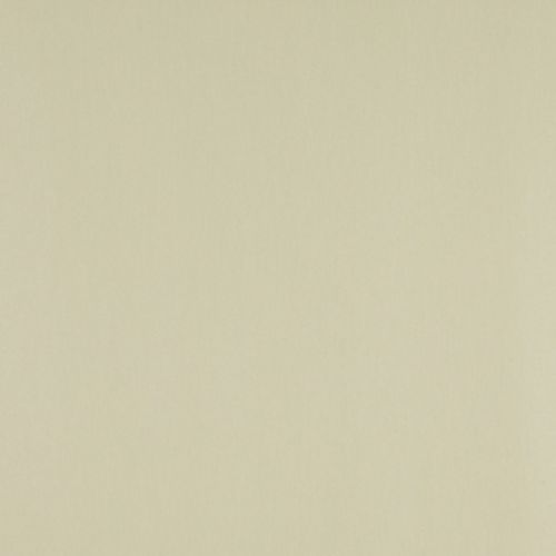 Plain cream-colored wall: smooth, matte surface occupying the entire frame, evenly lit and featureless, suggesting an interior wall or sheet of paper under soft, diffuse lighting.