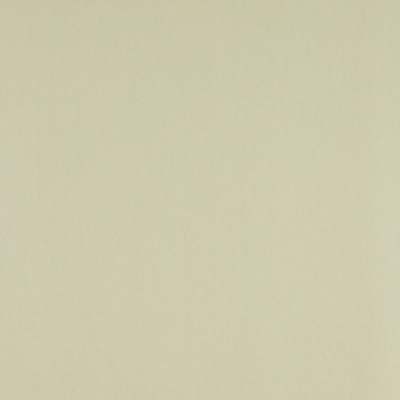 Plain cream-colored wall: smooth, matte surface occupying the entire frame, evenly lit and featureless, suggesting an interior wall or sheet of paper under soft, diffuse lighting.