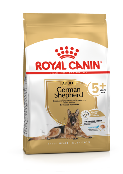 German Shepherd Adult 5+