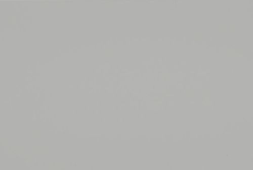 Uniform light-gray wall (object) covering the entire frame and appearing featureless and matte (action); diffuse even lighting with no discernible fixtures, shadows, or room context (context).