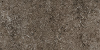 Sensi Brown Fossil 16×32 Field Tile R+PTV Rectified