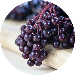 Elderberries