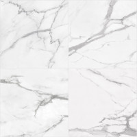 statuario anatolia 12x24 honed rectified brampton