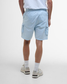 Shorts Hayden Cargo 