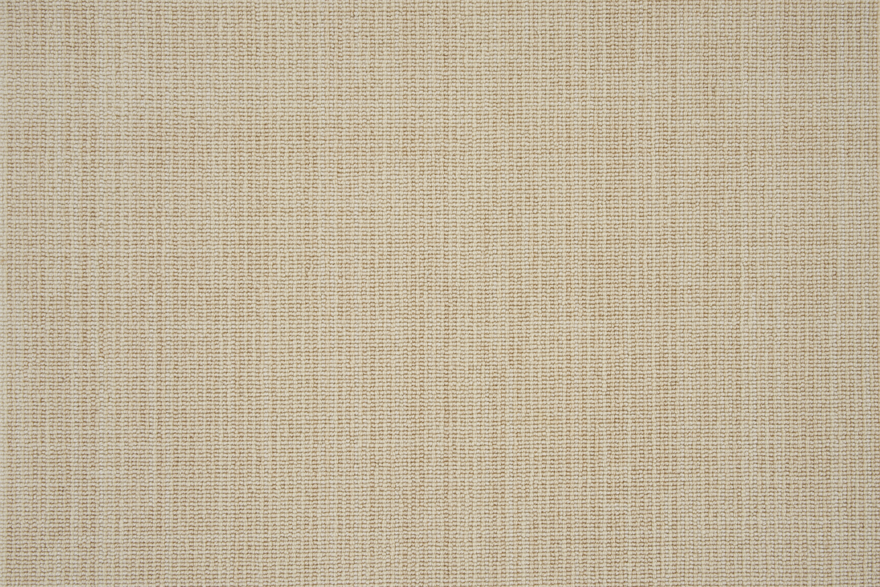 color-rug1