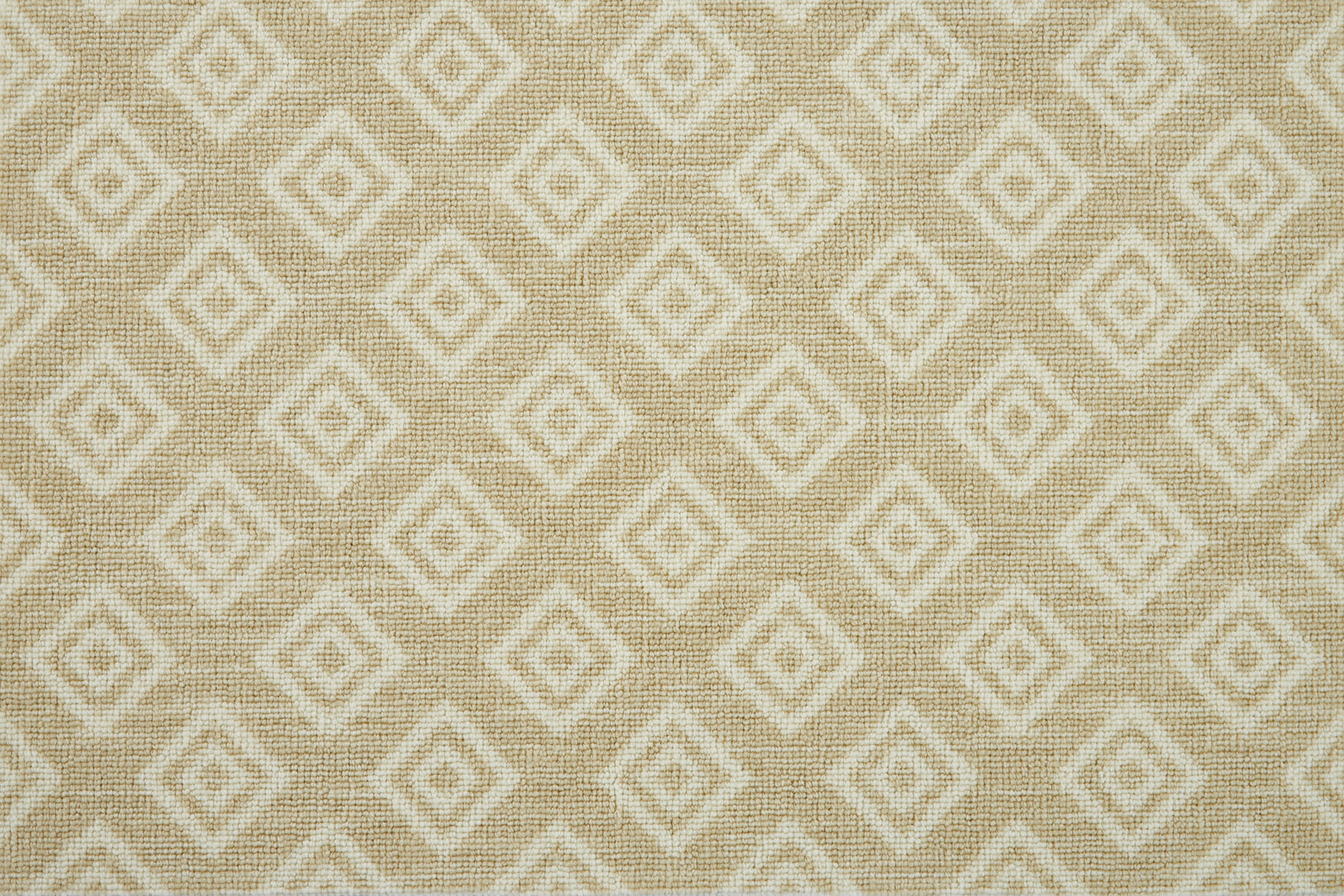 color-rug1