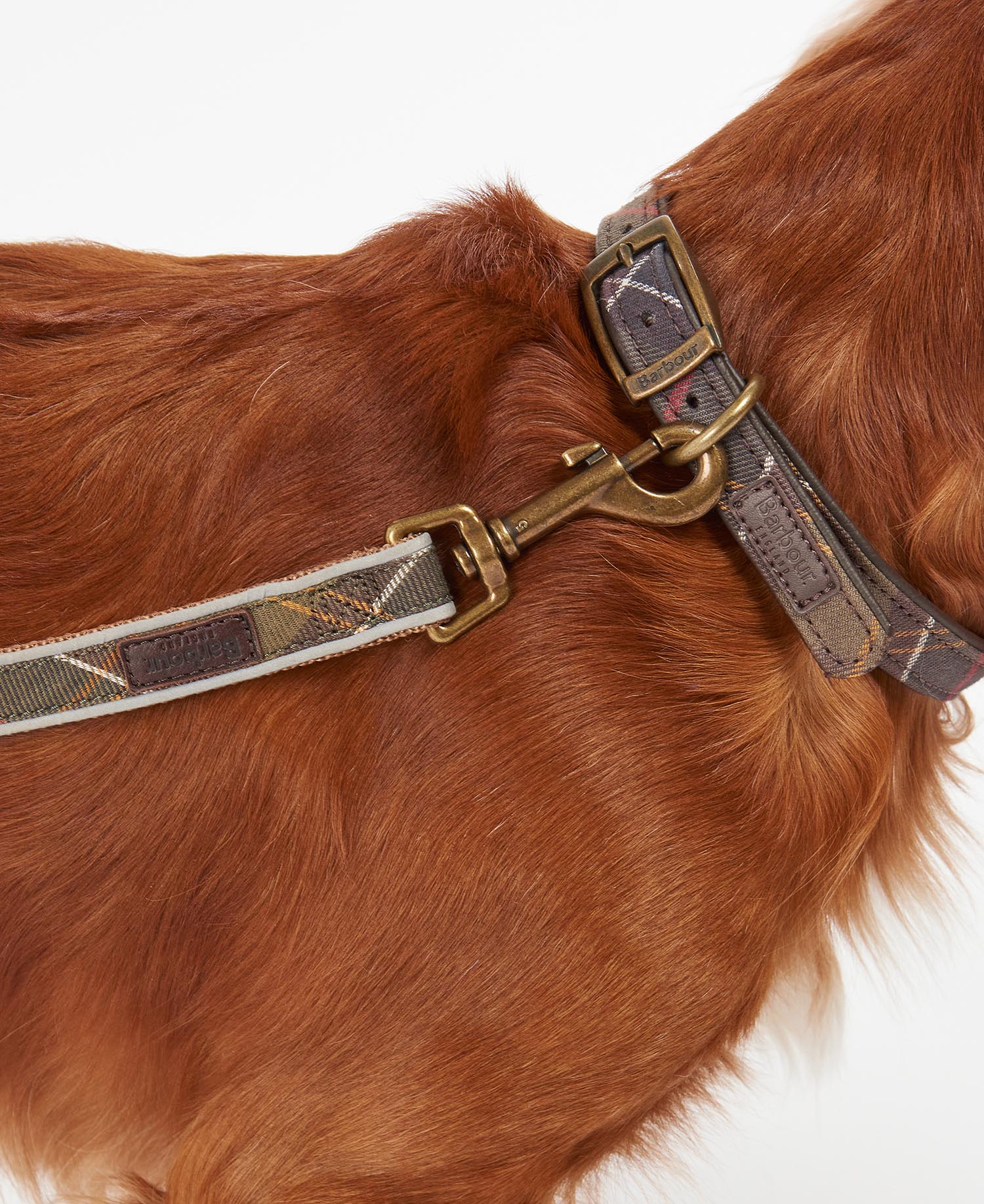 Reflective Tartan Dog Lead image number 2