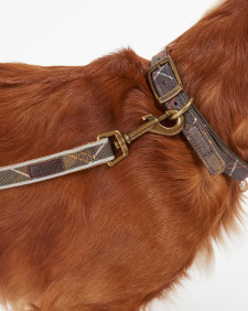 Reflective Tartan Dog Lead Classic Tartan