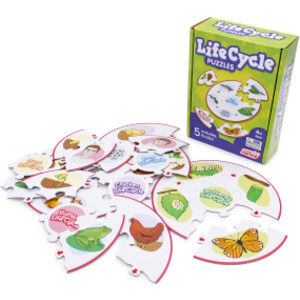 Life Cycle Puzzles