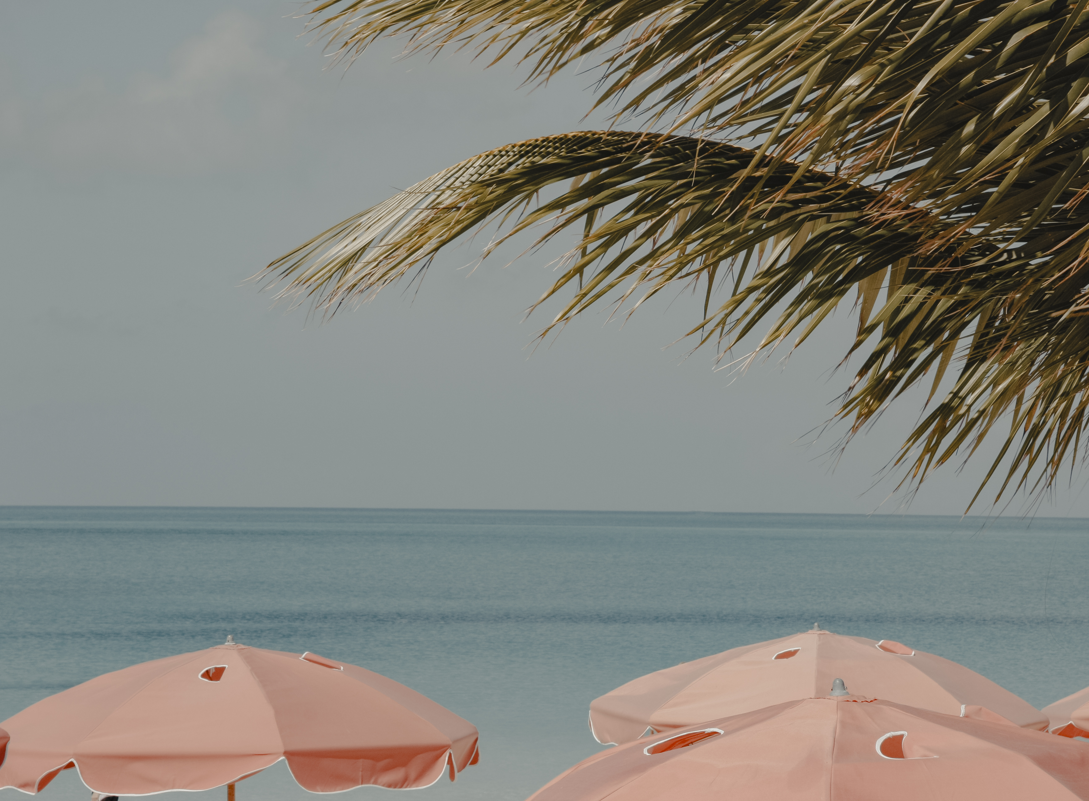 Miami → Miami (14 nights)