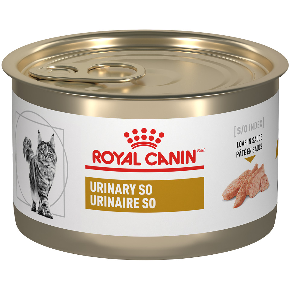 Feline Urinary SO® Loaf in Sauce Canned Cat Food Royal