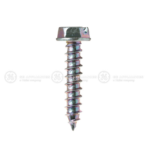 SPECIAL SCREW