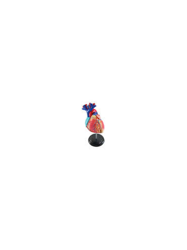 s--H-keT3PK--/smwdcsrhwl6a3hymllv6.jpg