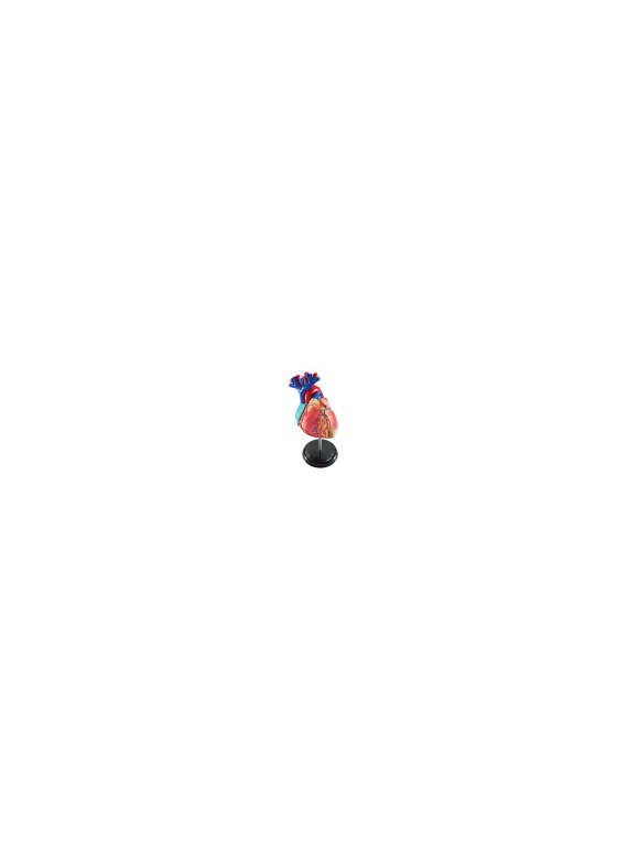 s--H-keT3PK--/smwdcsrhwl6a3hymllv6.jpg