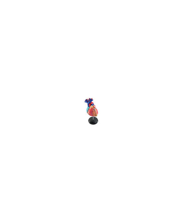 s--H-keT3PK--/smwdcsrhwl6a3hymllv6.jpg