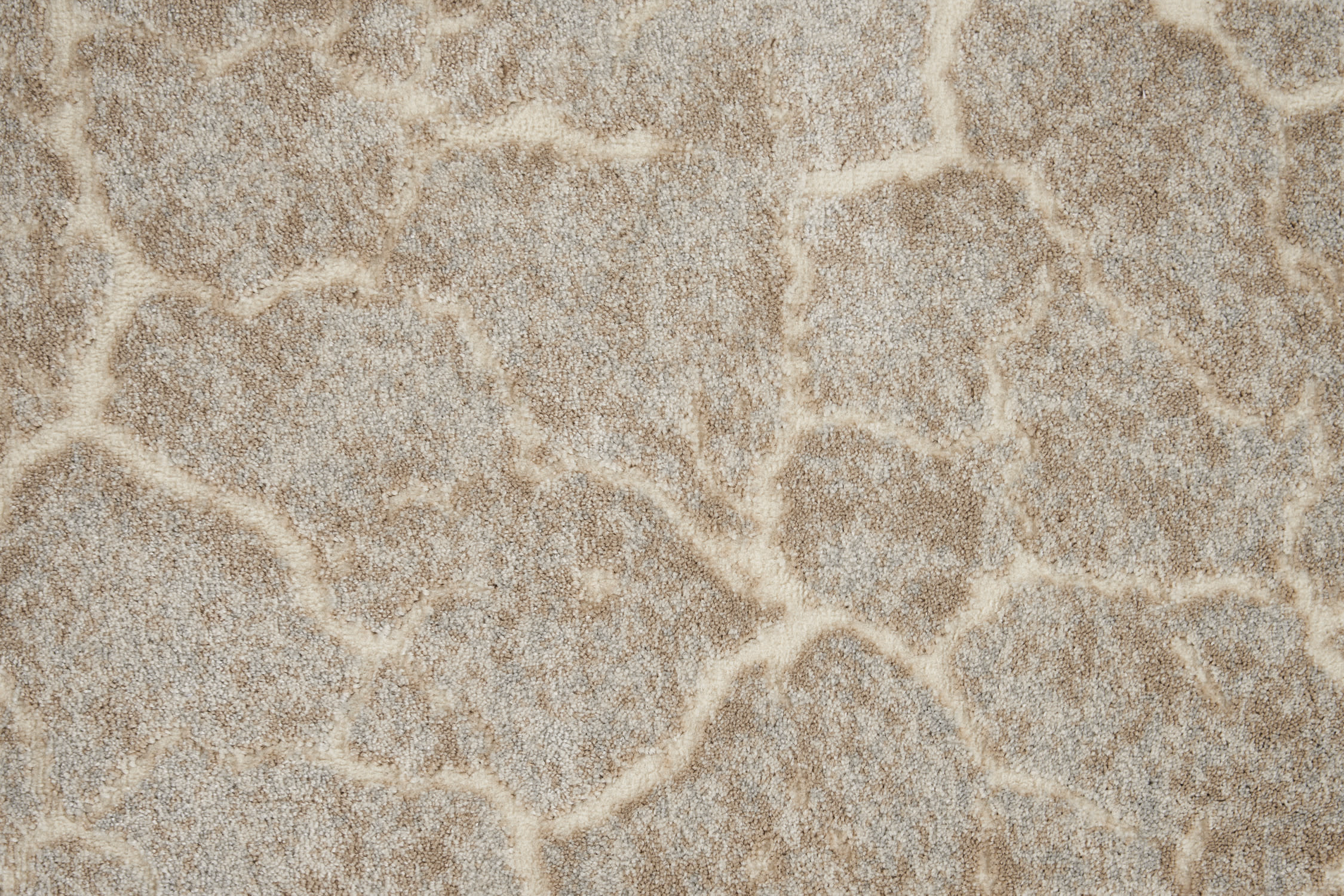color-rug1