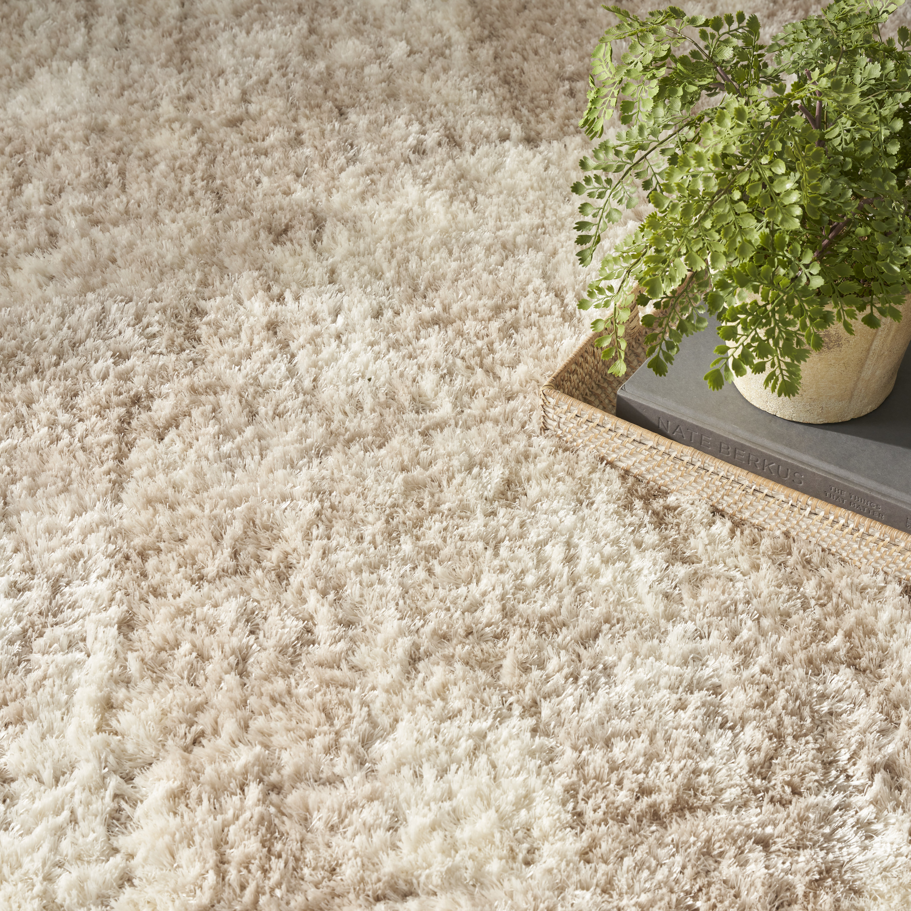Nourison Dreamy Shag 4' x 6' Ivory Beige Modern Indoor Rug