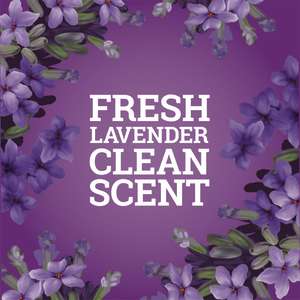 Clorox, CloroxPro Pine-Sol Multi-Surface Cleaner Concentrated, Lavender Clean Scent,  80 oz Bottle