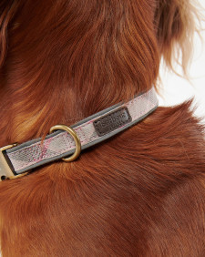 Reflective Tartan Dog Collar Taupe-Pink Tartan