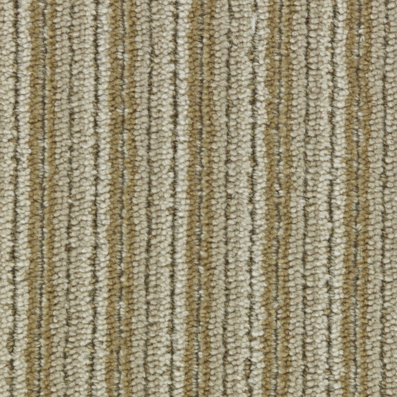 color-rug1
