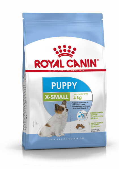 X-Small Puppy