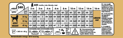 Labrador Retriever Puppy feeding guide