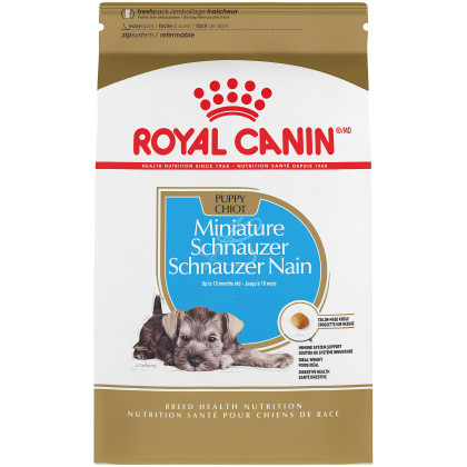 Miniature Schnauzer Puppy Dry Dog Food