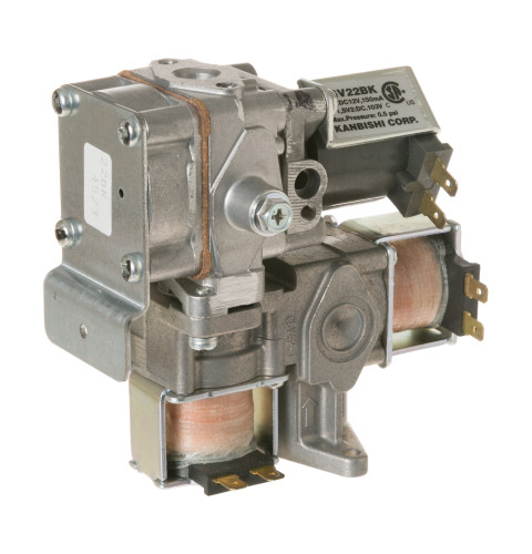 VALVE ASSEMBLY, GAS