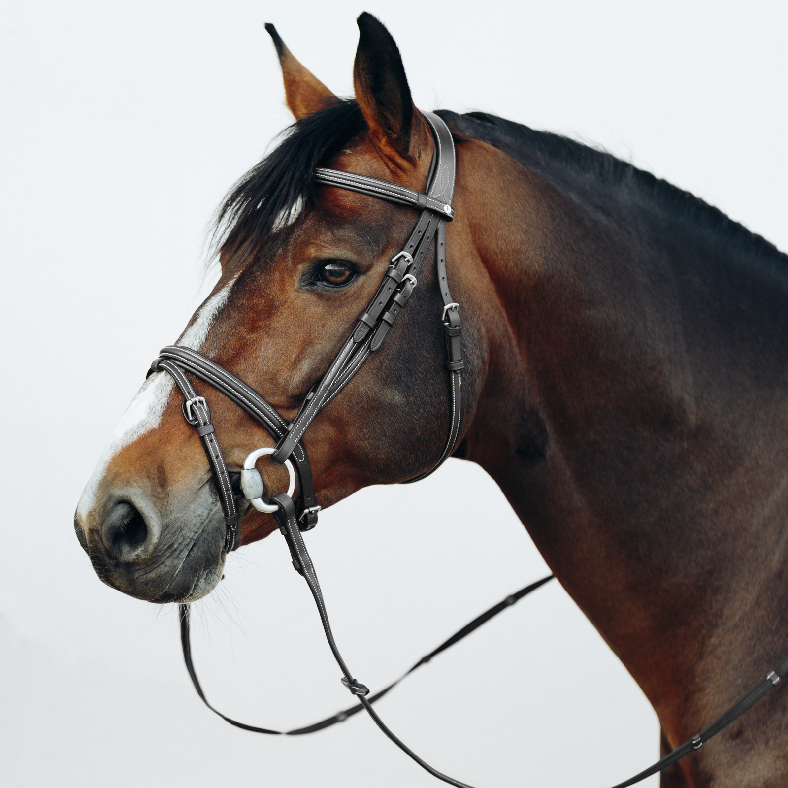 Horze Buxton Flash Bridle with Reins