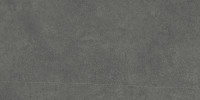 Ren Dark Grey 24X48 Rectified