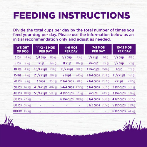 <p>Weight (lbs)	Weight (kg)	1 1/2 – 3 MOS (Cups/Day)	1 1/2 – 3 MOS (Grams/Day)	4 – 6 MOS (Cups/Day)	4 – 6 MOS (Grams/Day)	7 – 9 MOS (Cups/Day)	7 – 9 MOS (Grams/Day)	10 – 12 MOS (Cups/Day)	10 -12 MOS (Grams/Day)<br />
3	1.4	 3/4	86	 1/2	73	 1/2	61	 1/2	48<br />
5	2	1    	126	1    	107	 3/4	89	 1/2	71<br />
10	4	1 3/4	211	1 1/2	181	1 1/4	150	1    	119<br />
15	7	2 1/2	287	2    	245	1 3/4	203	1 1/2	161<br />
20	9	3    	356	2 3/4	311	2 1/4	267	2    	222<br />
30	14	4 1/4	482	3 3/4	422	3 1/4	362	2 1/2	301<br />
40	18	5 1/4	598	4 1/2	523	4    	449	3 1/4	374<br />
60	27	–	–	6 1/4	709	5 1/4	608	4 1/2	507<br />
80	36	–	–	–	–	6 1/2	755	5 1/2	629<br />
100	45	–	–	–	–	–	–	6 1/2	743</p>
<p>Pregnant or Nursing Dogs: Since DHA is transferred to puppies in mother’s milk, we recommend feeding this during pregnancy and nursing. When pregnant, feed up to 50% more food according to body weight at 12 mos. For nursing dogs, allow her to eat at will. Combination Feeding: If feeding with Wellness wet food, reduce dry amount fed by 1/3 cup (44g) for every 6 oz (170g) of wet food.</p>
