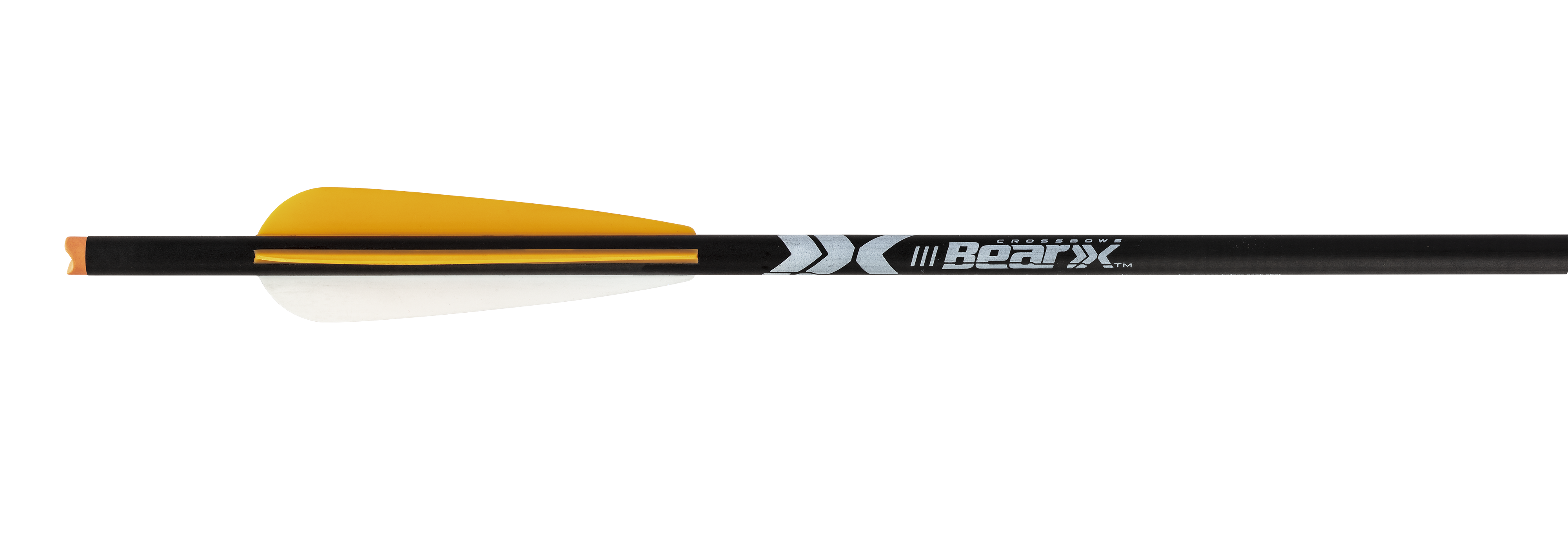 close up of Bear X 6 Pack Arrows