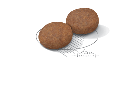 Medium Adult 7+ kibble