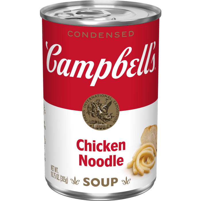 Chicken Noodle Soup