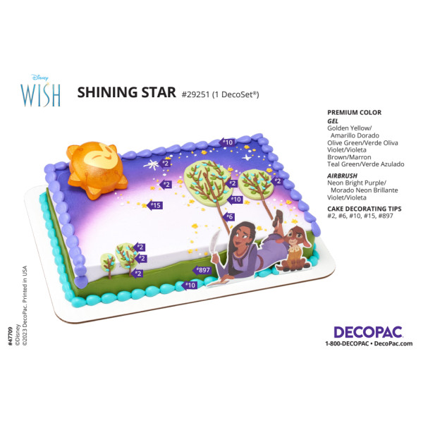 Disney's Wish Shining Star Cake Decorating Instruction Card