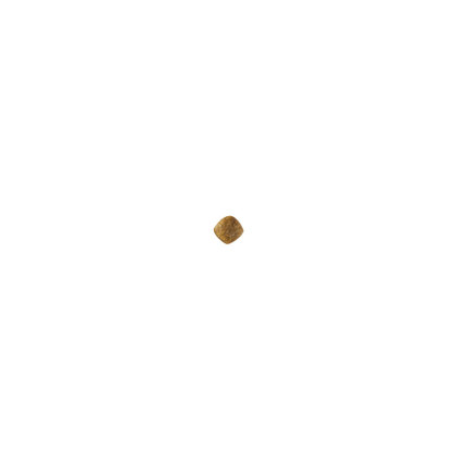 Neutered adult small dog kibble