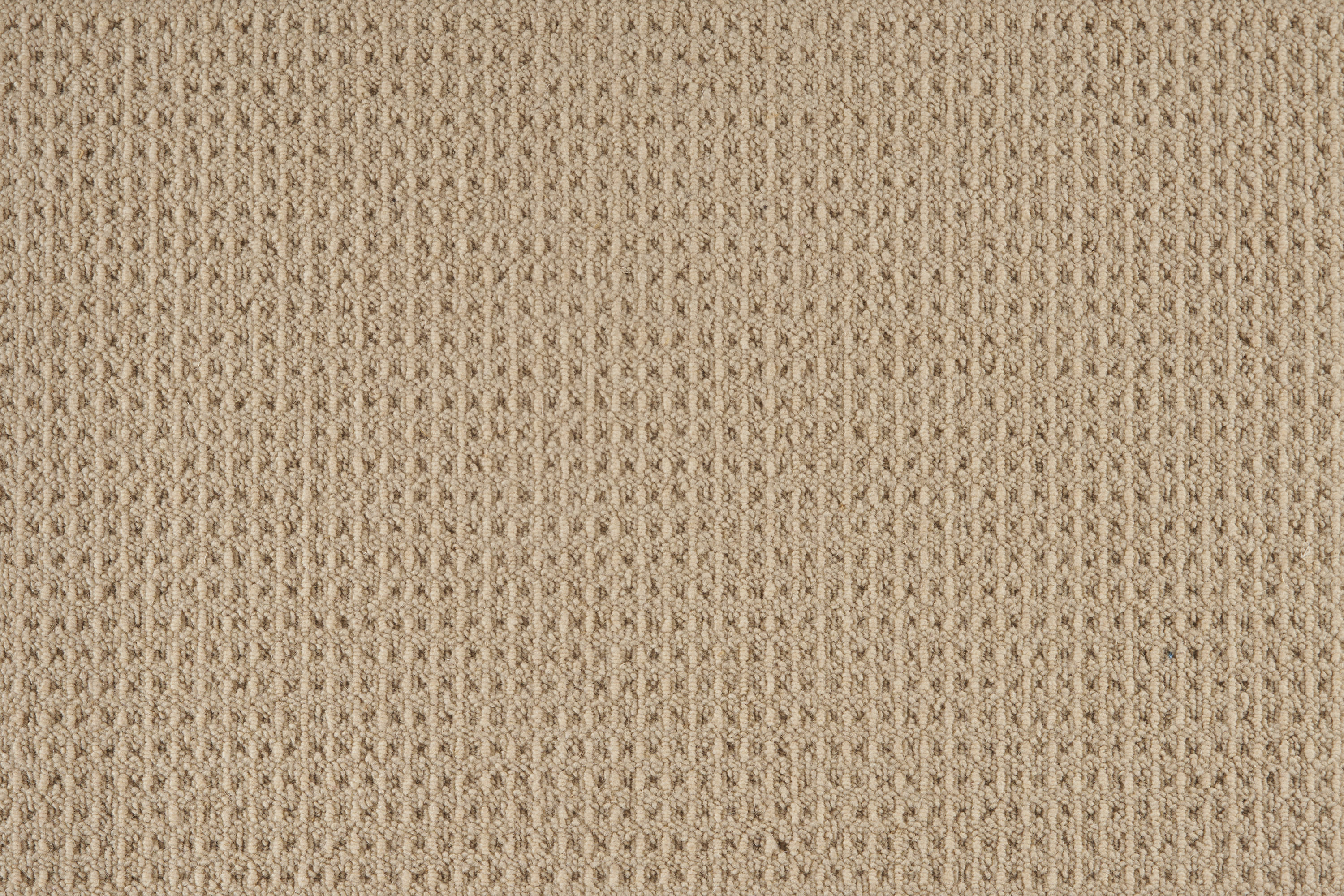 color-rug1