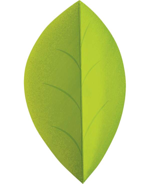s--HvKEBAPf--/k4kaqvhmsmnhnd77utob.jpg