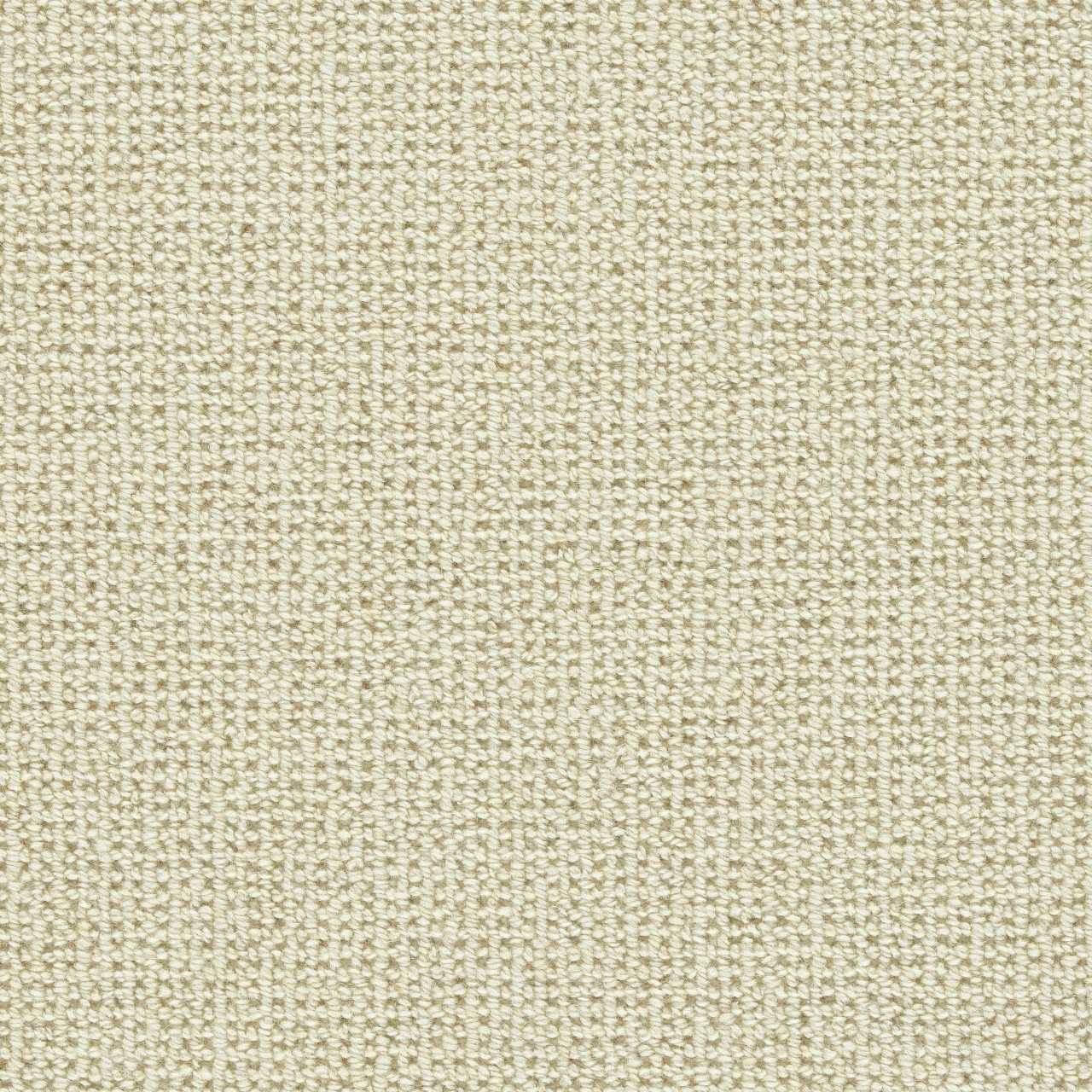 color-rug1