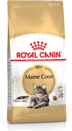 Maine Coon