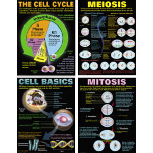 Cells Posters, Set of 4
