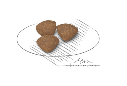 Mini puppy kibble