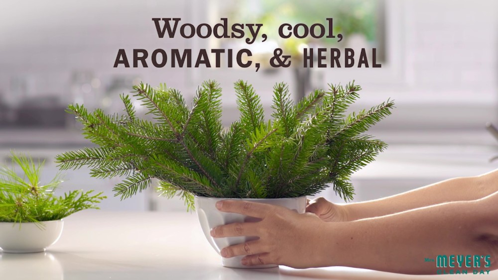 Mrs. Meyes Clean Day Iowa Pine Hand Soap, 12.5oz