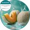Fresh Products, Oxyfresh Air Freshener Refill, Invigorate